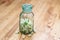 bunch of white flowers acacia near bottle of medicine. Collection of herbs in season. Branches of black locust, Robinia