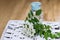 bunch of white flowers acacia near bottle of medicine. Collection of herbs in season. Branches of black locust, Robinia