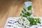 bunch of white flowers acacia near bottle of medicine. Collection of herbs in season. Branches of black locust, Robinia