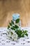 bunch of white flowers acacia near bottle of medicine. Collection of herbs in season. Branches of black locust, Robinia