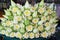 A bunch of white flowers and lotus buds with artfully folded petals