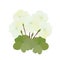 Bunch of White Geranium Flowers on White Background