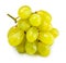 Bunch of white grape