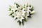 A bunch of white lilies in a heart shape on a white background.