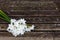 Bunch of white narcissi flowers on a rustic bench