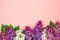 Bunch of white, pink and purple lilac flowers on a coral pink background. Top view. Copy space.