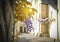 Bunch of wisteria with rays of sun in the old part of the city Le mans