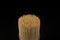 Bunch of wooden birch toothpicks on black