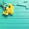 Bunch of yellow daffodisl flowers on turquoise wooden backgrou