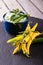 Bunch of yellow and green chili pepers with wasabi dip in blue bowl