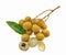 A bunch of yellow longans on a white background.  It is a Thai fruit that is sweet, juicy and nutritious