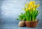 Bunch yellow narcissus in wattled basket