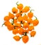 Bunch of Yellow orange ripe habanero hot chili peppers.