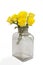 Bunch of yellow roses in florist arrangment in the bottle on white background