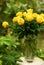 Bunch of yellow roses in a transparent bowl