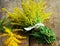 Bunch of yellow Solidago Goldenmosa or Goldenrod on wooden background