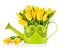 Bunch yellow tulips in watering can