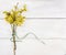 Bunch of yellow willow with green bow on white wood