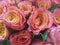 a bunch of yellowish pink roses that are blooming beautifully.  very suitable for congratulations or for the background.