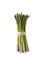 Bunched asparagus isolated on white background. Asparagus with copy space for text on white. Fresh green spring vegetables on a wh