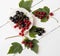 Bunches of black currant and red current with leaves on white wooden board. Flat lay. Top view