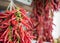 Bunches of chilli peppers hanging at the market