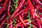 Bunches of chilli peppers hanging at the market