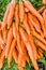 Bunches of fresh carrots at the market