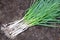 Bunches of fresh harvested young garlic.