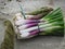 Bunches of fresh onions and asparagus hand picked just as they ripen from the garden in a Tuscan farm