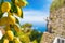 Bunches of fresh yellow ripe lemons, famous Faraglioni Rocks in blue sea, statue of Emperor Augustus on blurred background, Capri