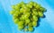 Bunches of grapes. Yellow and green grapes. Subject isolated on a blue background
