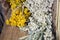 Bunches of medicinal flowers  border on rustic wood.