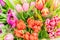 Bunches of multicolored tulips spring flowers, top view