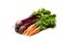 Bunches of new carrots and beetroots isolated on white