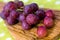 Bunches of purple ripe grape