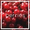 Bunches of red berries, red currant or rowanberry. Close view, macro