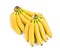 Bunches of ripe baby bananas on white background