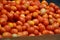 Bunches of ripe red tomatoes laying in a fruit box ready for sale at farmers market. Tomato with tails background. Closeup shot of