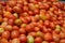 Bunches of ripe red tomatoes laying in a fruit box ready for sale at farmers market. Tomato with tails background. Closeup shot of