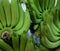 Bunches of small green bananas. Tropical products