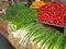 Bunches of Spring Onions and Radishes Carmel Market  Tel Aviv  Israel