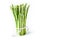 Bundle of asparagus at the left of white background horizontal