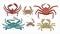 Bundle of colorful drawings of different types of crabs. Collection of beautiful marine animals or ocean crustaceans