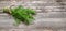 Bundle dill Green herb Food ingredient
