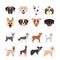 Bundle of dog breeds group