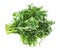 Bundle of edible chrysanthemum greens isolated