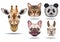 bundle of five animals domestics and wild icons