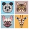 bundle of four animals domestics and wild icons