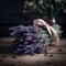 a bundle of fragrant lavender tied together on wooden back drop